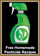 Free Homemade Organic/Natural Pesticide Recipes