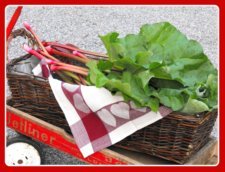 Rhubarb Harvest in a Wagon Rhubarb Harvest in a Wagon