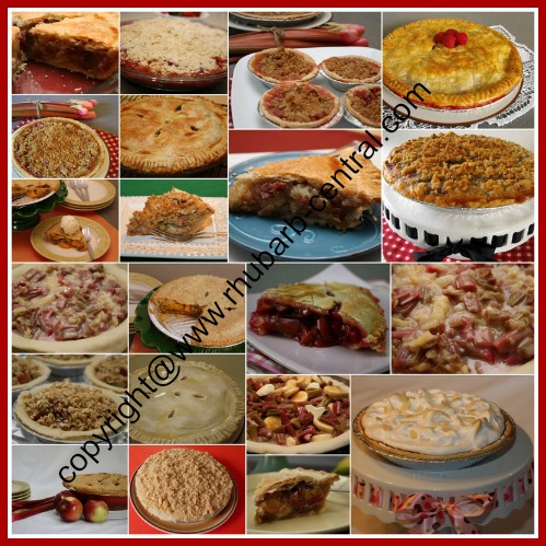 Rhubarb Pie Recipes Best Homemade Pies Rhubarb Pie Recipes Best Homemade Pies