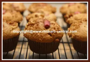 AppleRhubarbMuffins1