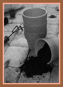 MOPicContainerGardening