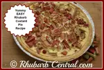 Rhubarb Custard Pie Recipe