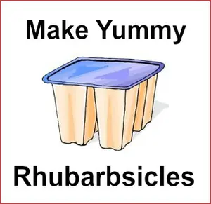 Rhubarb Popsicles