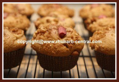 Apple Rhubarb Muffins Picture