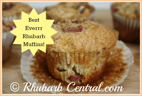 Best Ever Rhubarb Muffins Streusel Muffins