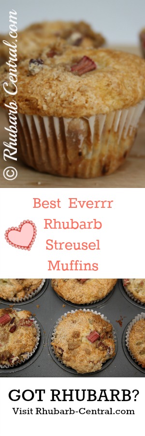 Best Rhubarb Muffins Homemade Rhubarb Streusel Muffins