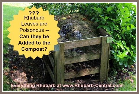 Composting Rhubarb Leaves