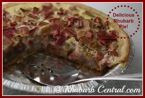 Homemade Quick and Easy Rhubarb Pie in a Tenderflake Pie Shell