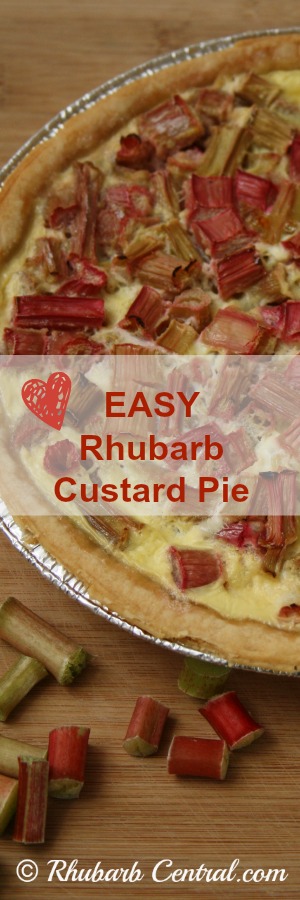 Homemade Rhubarb Custard Pie