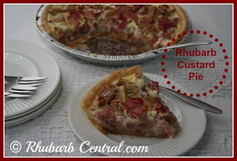 Enjoy Making this Rhubarb Custard Pie Recipe