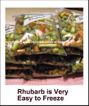 Picture of Freezing Rhubarb