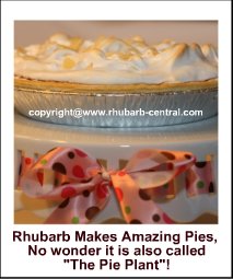 What to do with Rhubarb - pies and more!
#whattodowithrhubarb
#whattomakewithrhubarb Rhubarb Pie
#loverhubarb
#whattodowithrhubarb