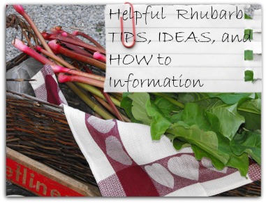 Helpful Rhubarb Tips and How To Info Page