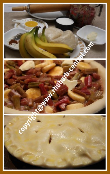 Rhubarb Banana Pie Recipe