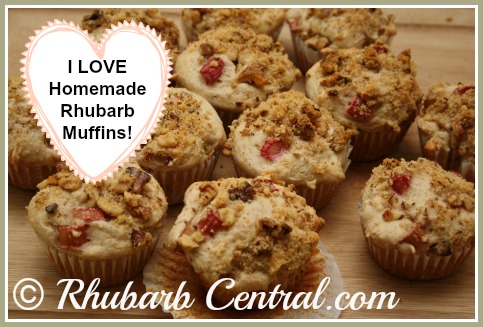 Homemade Rhubarb Muffins
