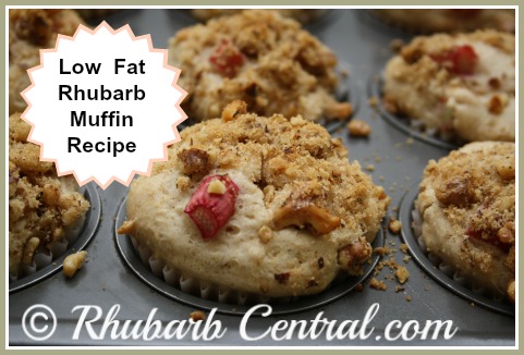 Low Fat Rhubarb Muffins Homemade