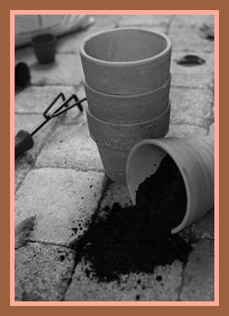 MOPicContainerGardening