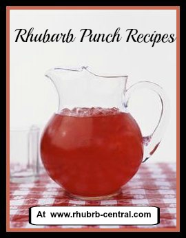 Picture of Homemade Rhubarb Punch Recipe