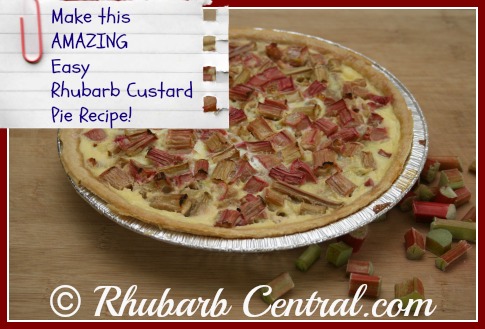 Make a Rhubarb Custard Pie