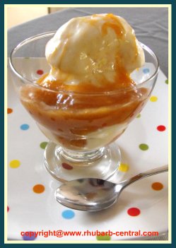 Quick and Easy Rhubarb Microwave Sauce Topping on Ice Cream