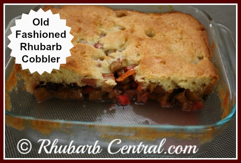 Rhubarb Dessert Recipe