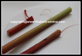 Stringy Rhubarb