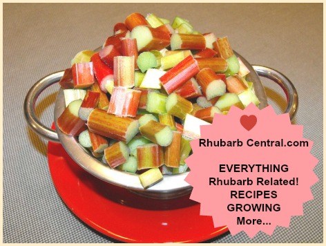 Picture of Fresh Rhubarb Cut in Pieces