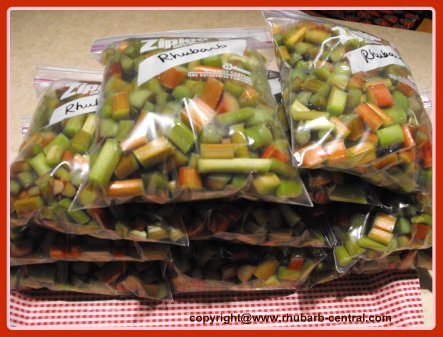 Bags of Frozen Rhubarb - How to Freeze Rhubarb