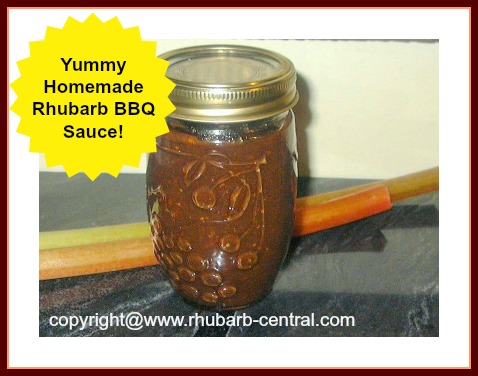 Homemade Rhubarb Barbeque Sauce