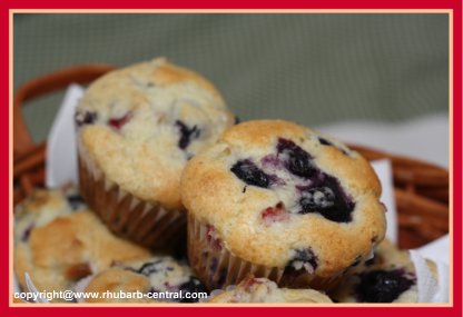 Rhubarb Muffins / Blueberry Rhubarb Muffins Using Fresh Or Frozen Rhubarb
