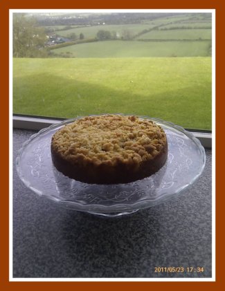 Rhubarb Cake Recipe Rhubarb Crumble Cake