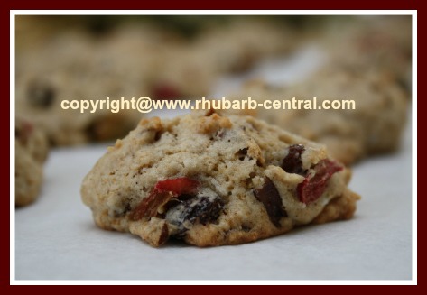 Rhubarb Cookie Recipe Homemade 