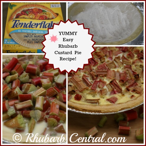 Making a Rhubarb Custard Pie at Home