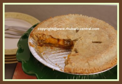 Very Easy Rhubarb Pie Recipe