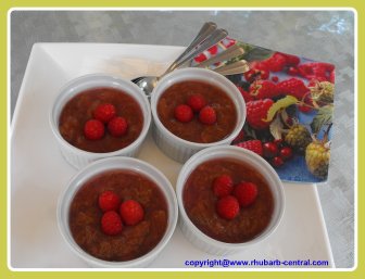 A Rhubarb Raspberry Dessert
