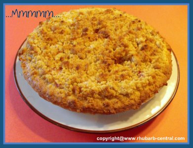 Strawberries and Rhubarb Crumble Top Pie Recipe Single Pastry Crust Pie