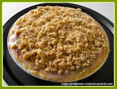 Making a Single Crust Rhubarb Pie