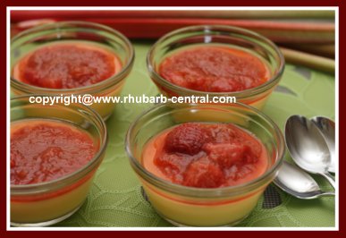 Ice Cream Sauce/Rhubarb Sauce for Ice Cream Pudding Cake and More