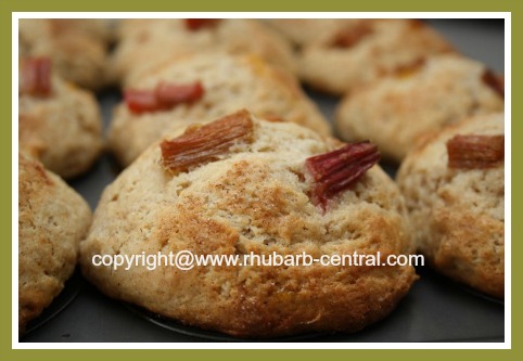 Baked Rhubarb Muffins