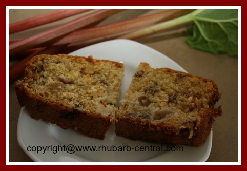 Slice of Delicious Homemade Rhubarb Bread