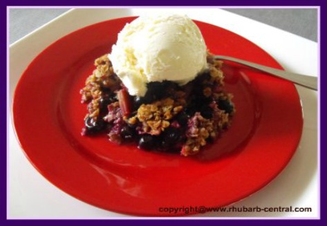 Rhubarb Blueberry Crumble 