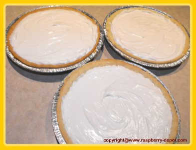 No-Bake Rhubarb Cheesecake