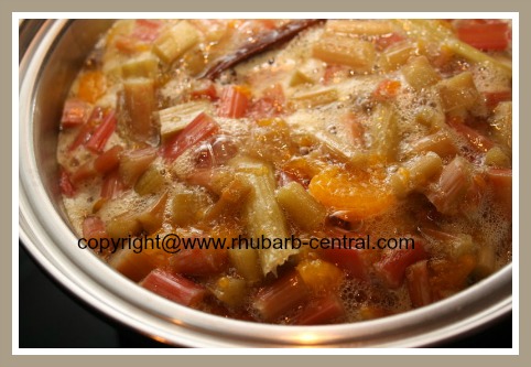 Cooking Rhubarb Tapioca Pudding Dessert