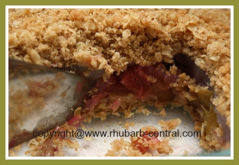 Delicious Rhubarb Cake Recipe Crumble Cake