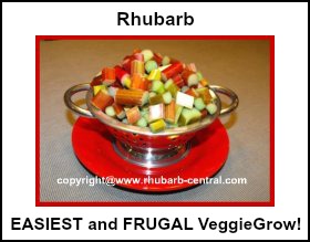 Very Easiest Vegetable to Grow in the Garden