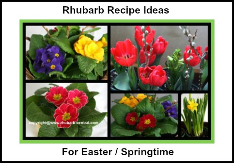 Rhubarb Recipe Ideas for Easter / Springtime