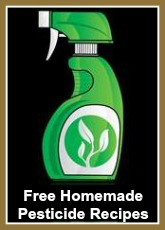 Free Homemade Organic/Natural Pesticide Recipes