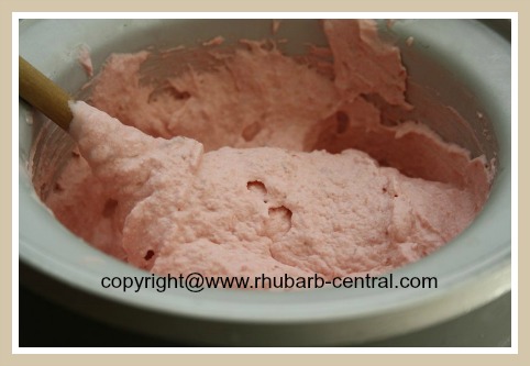 Fresh Made Rhubarb Ice Cream in Cuisimart Ice Cream Maker