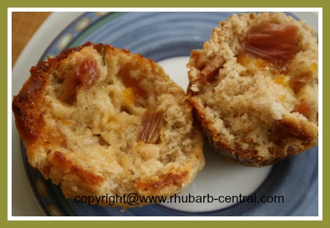 Freshly Baked Rhubarb Muffin