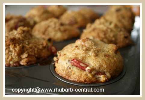 Fresh Rhubarb Recipe for Muffins